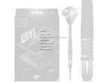 Phil Taylor Raw Power G11 95% 20g Softtip